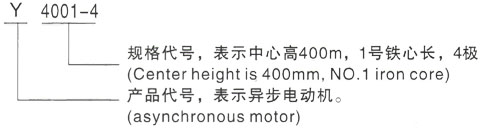 西安泰富西玛Y系列(H355-1000)高压YR5003-10/250KW三相异步电机型号说明