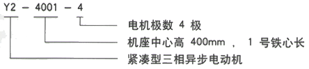 YR系列(H355-1000)高压YR5003-10/250KW三相异步电机西安西玛电机型号说明